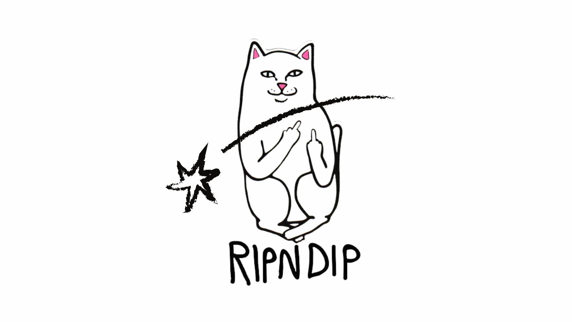 RIPNDIP – A MARCA DO GATINHO LORD NERMAL